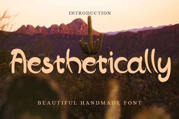 Aesthetically Font for Modern Campaigns