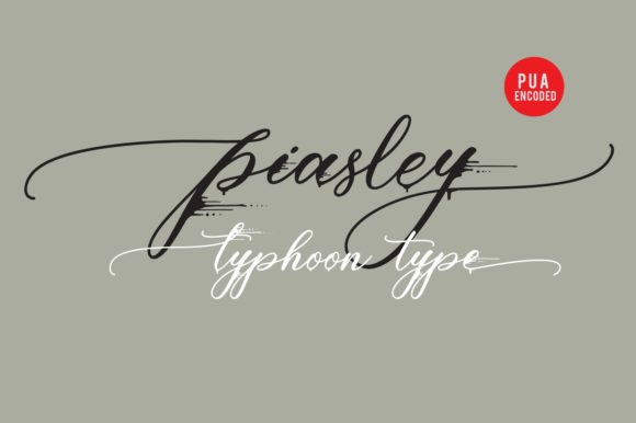 Piasley: A Delicate Script Font for Web Design