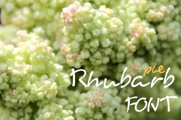 Rhubarb Pie Font for a Polished Brand Look