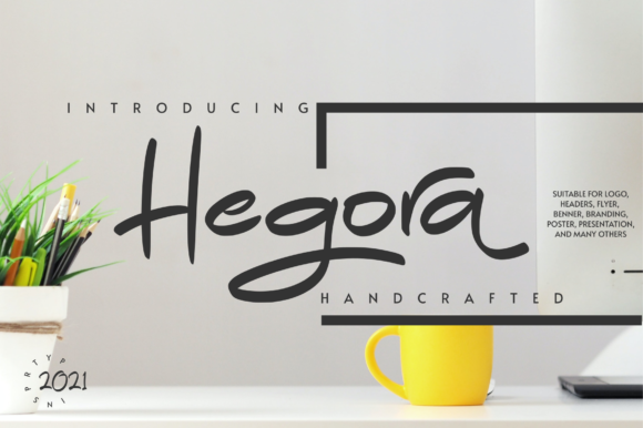 Testing Hegora for a Modern Brand Identity